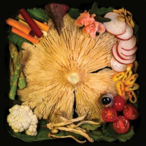 Acid Baby Jesus Vegetable Lp
